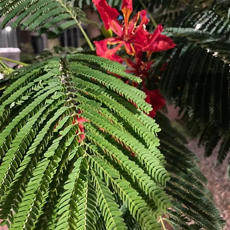 Luxury 2-bedroom With A Private Rooftop Area Διαμέρισμα