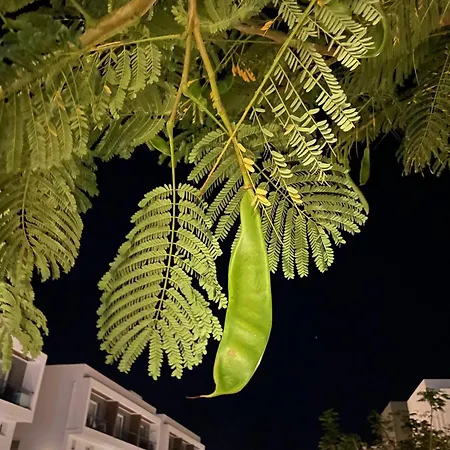 Luxury 2-bedroom With A Private Rooftop Area